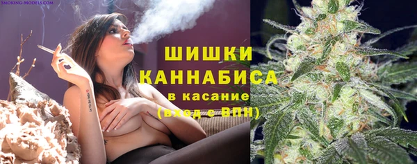 PSILOCYBIN Гусь-Хрустальный