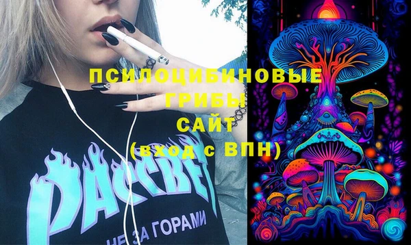 PSILOCYBIN Гусь-Хрустальный