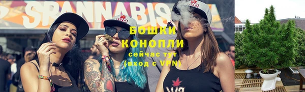PSILOCYBIN Гусь-Хрустальный